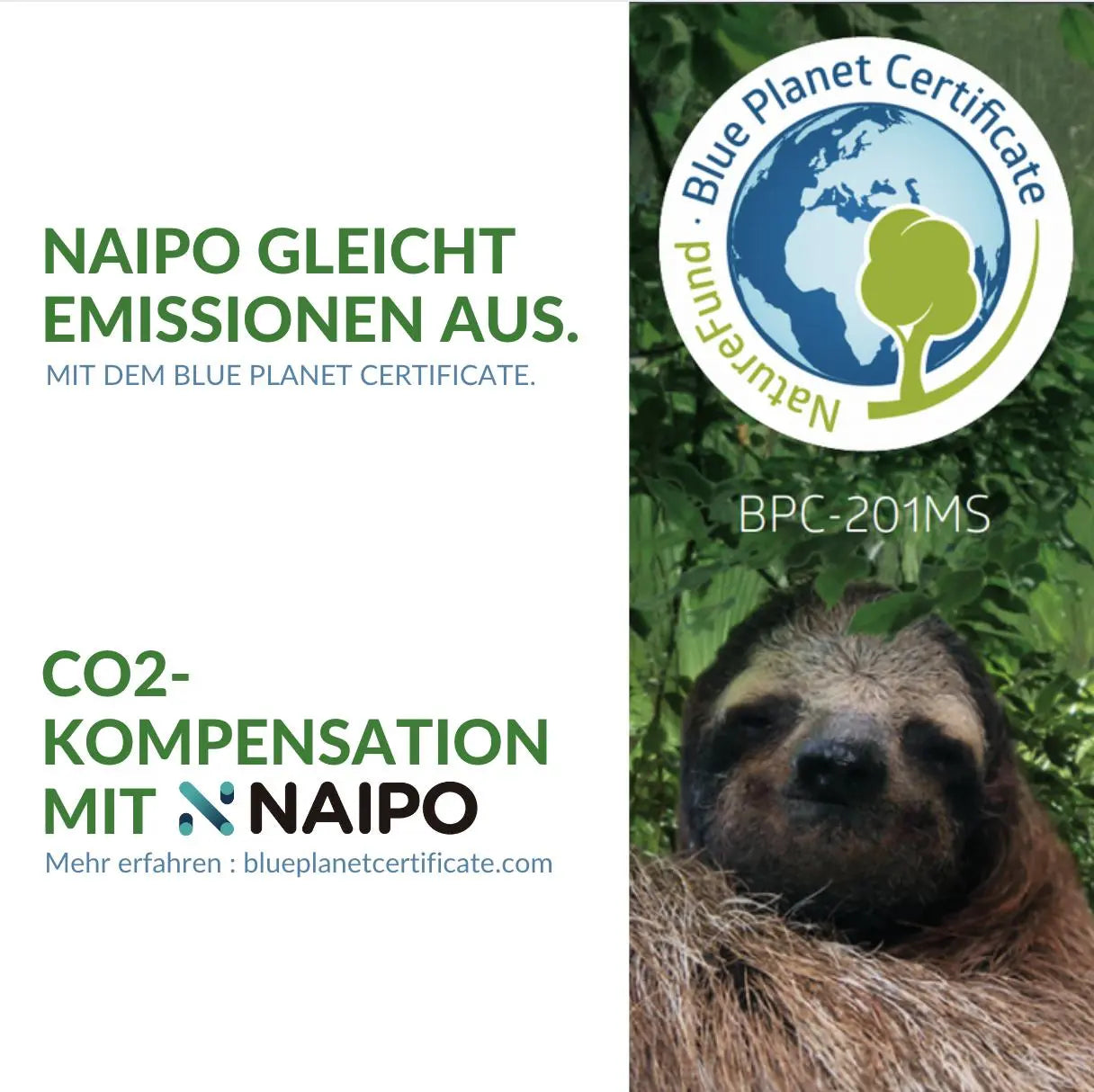 NAIPO oFlexiSpa Fuß-Dampfbad, iF Design Award Gewinner; Das effizientere Fußbad [ MGF-SPA ]